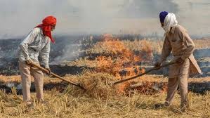 Punjab Farmers Protest Crop-Burning Curbs Amid AQI Crackdown