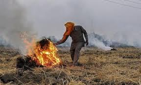 Punjab Farmers Protest Crop-Burning Curbs Amid AQI Crackdown