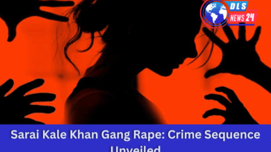 Sarai Kale Khan Gang Rape: Crime Sequence Unveiled